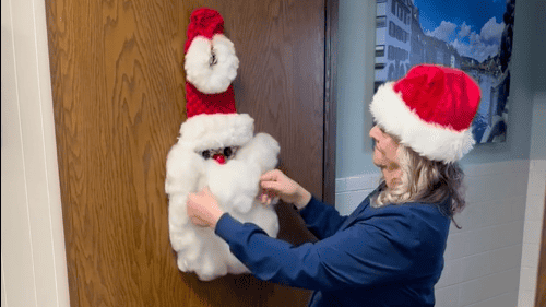 staff member hanging up Christmas decorations